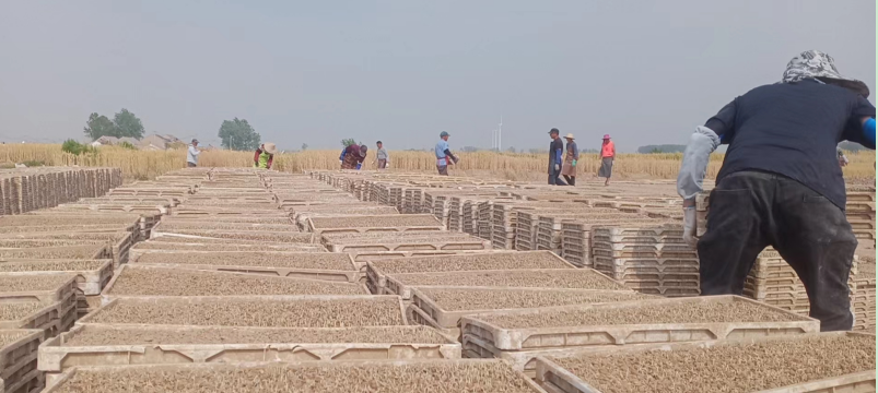 1654583293985014877.png QQ图片20220529075507.png