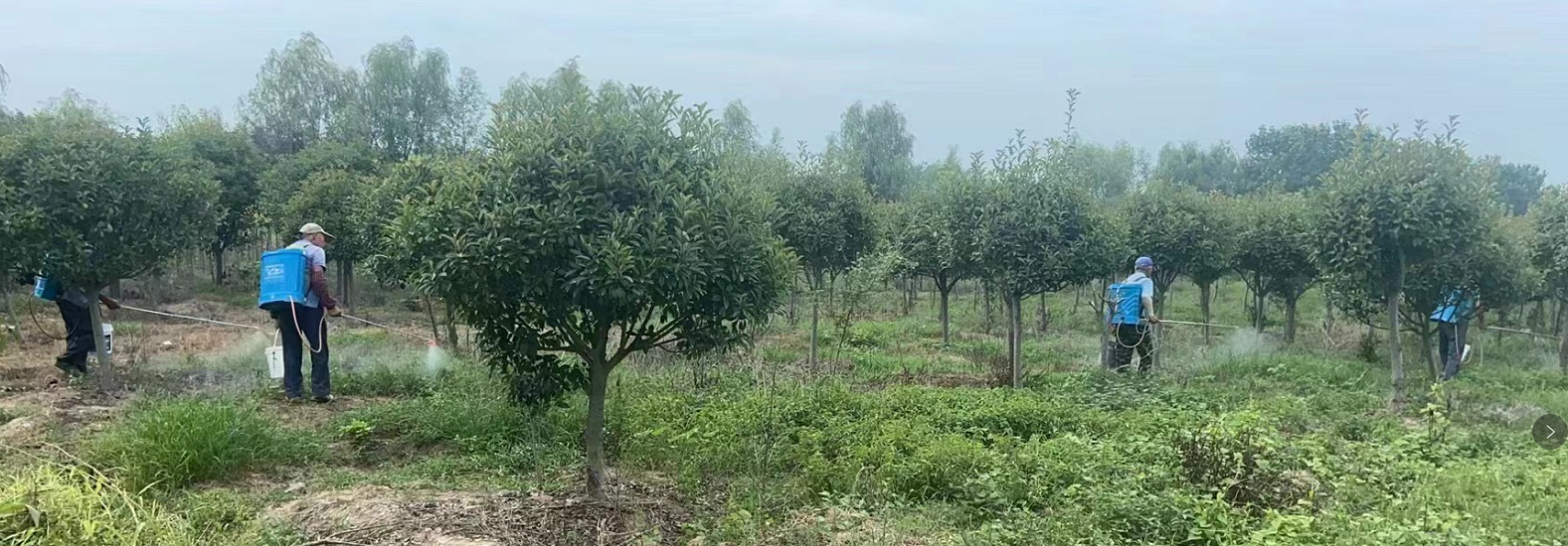 1660980966637099337.png QQ图片20220820080124.png