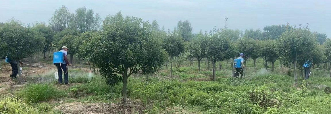 1661152665984097071.png QQ图片20220822151635.png