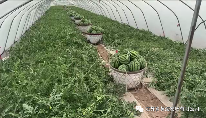 1686898300573006231.png 640.png