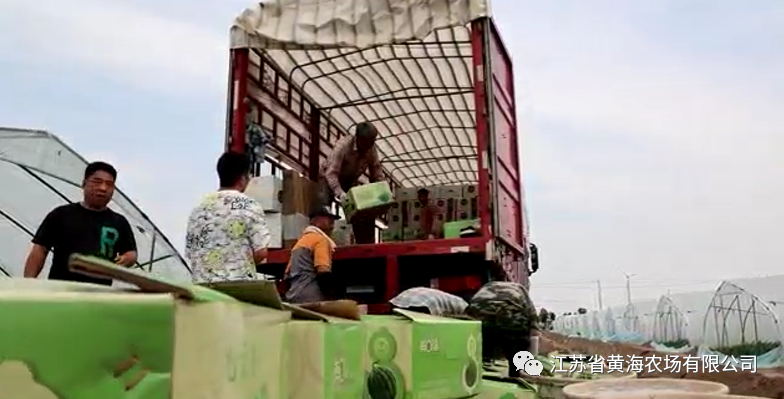 1686898308222014591.png 640 (2).png