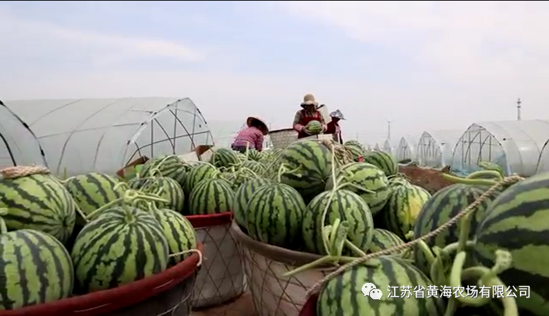 1686898317266066258.png 640 (1).png