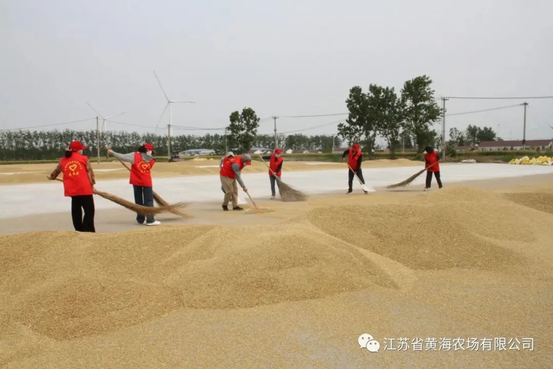 1686898737929060188.jpg 640 (7).jpg