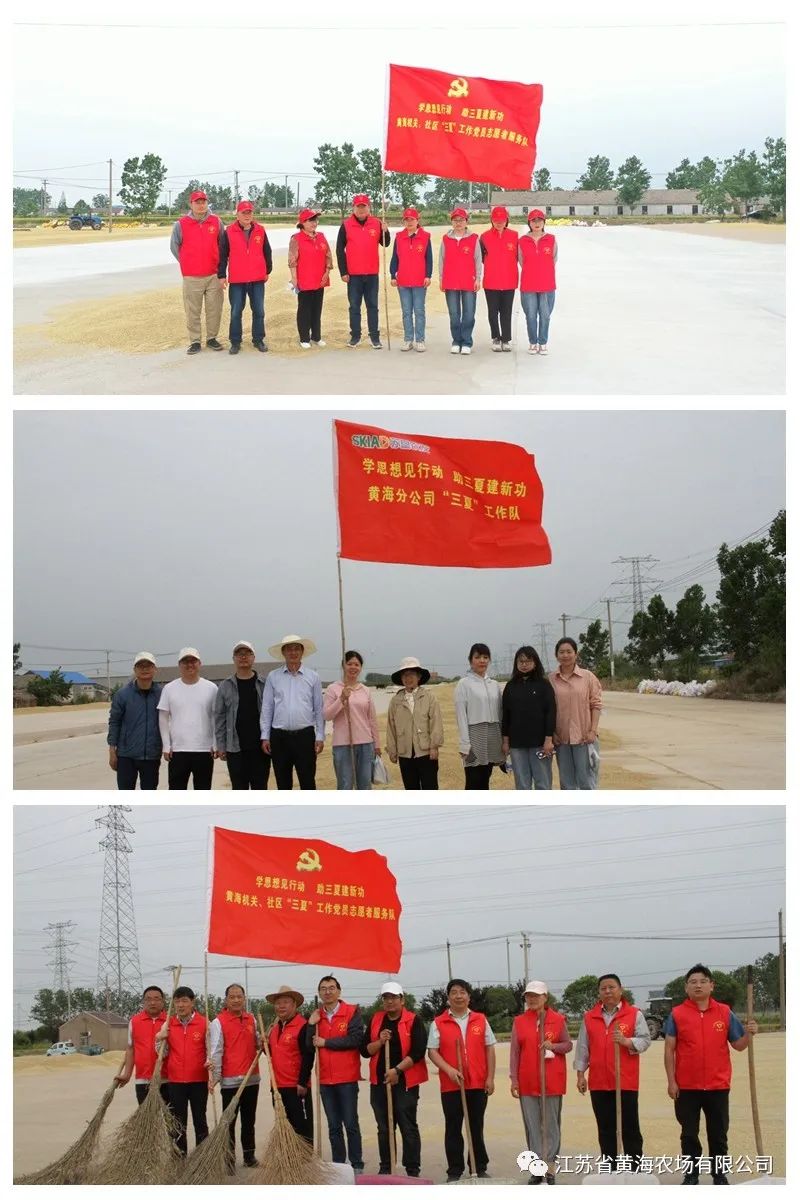 1686898743690052035.jpg 640 (8).jpg